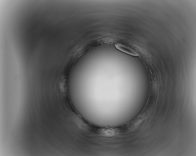 X0000116820181200912241248