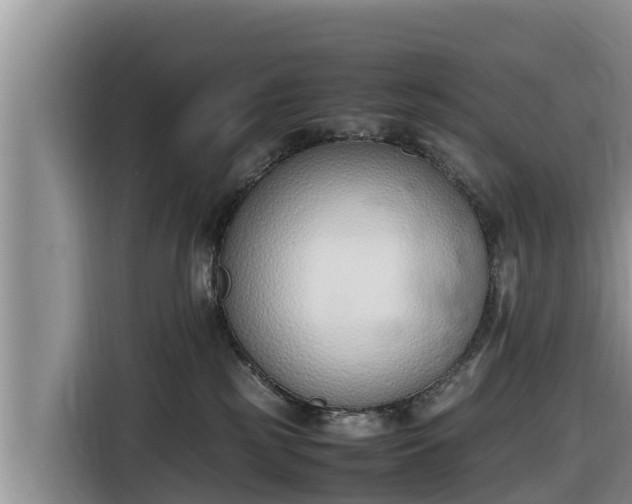 X0000116820185200912241248