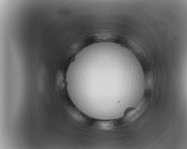 X0000116820187200912241248