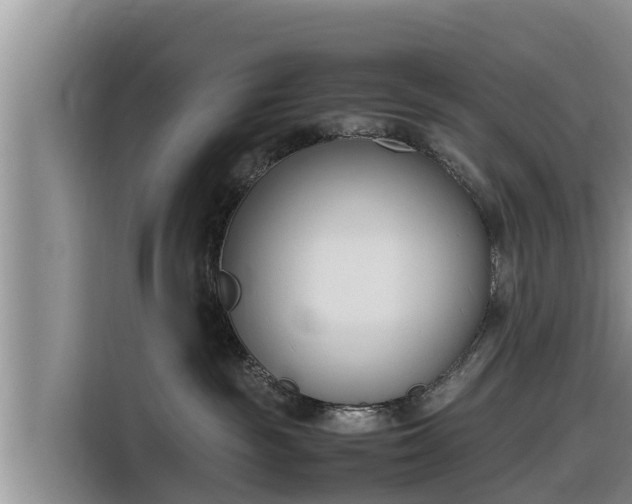 X0000116820189200912241248