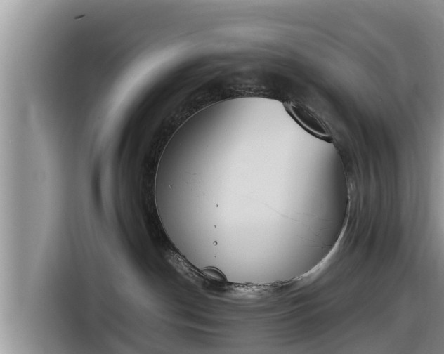 X0000116820190200912241248