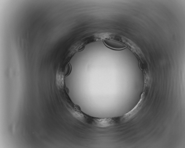 X0000116820191200912241248