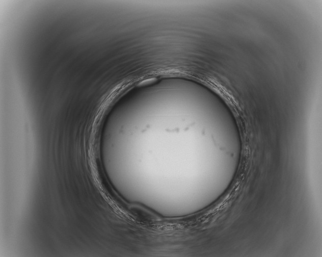 X0000116820193200912241247