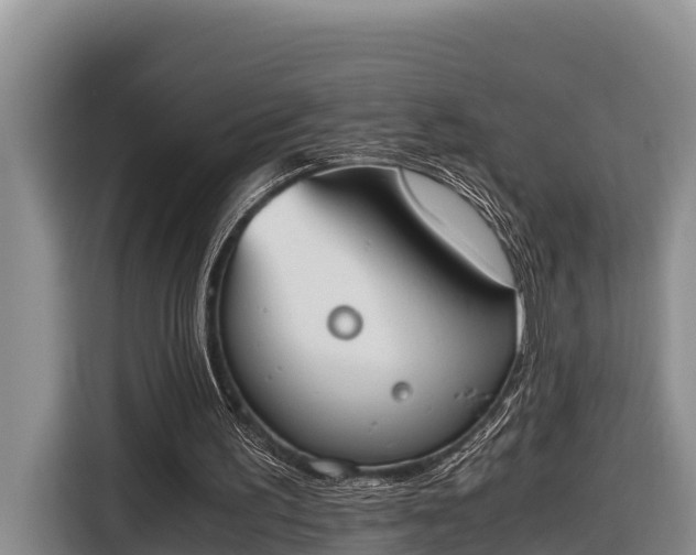 X0000116820195200912241247