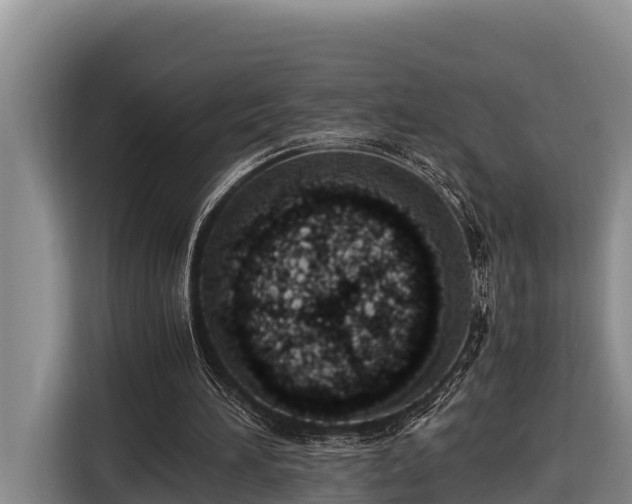 X0000116820196200912241247