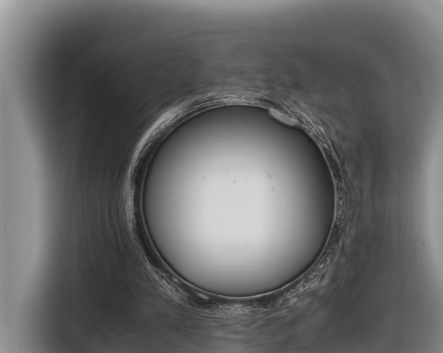 X0000116820197200912241247