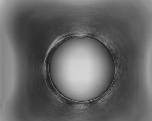 X0000116820198200912241247