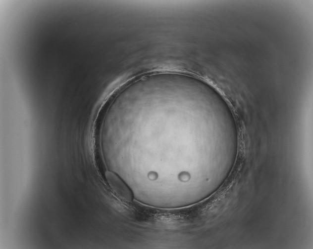 X0000116820199200912241247