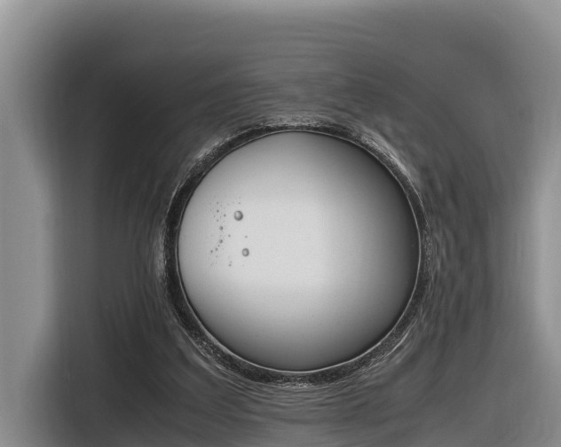 X0000116820203200912241247