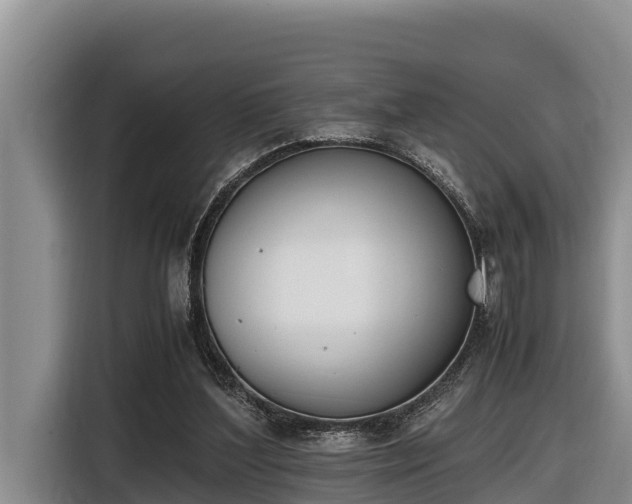 X0000116820204200912241247