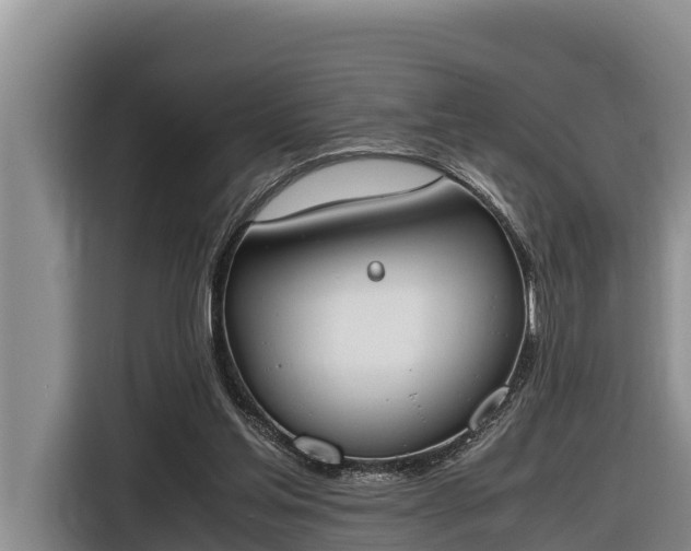 X0000116820205200912241247