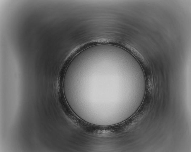 X0000116820208200912241247