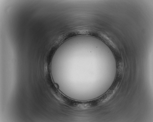 X0000116820213200912241247