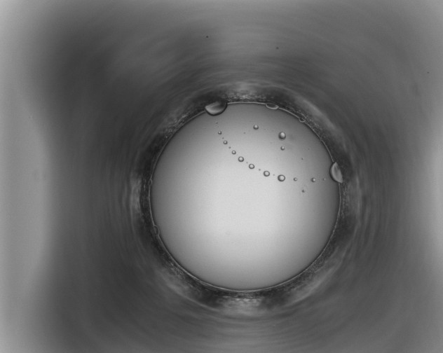 X0000116820217200912241247