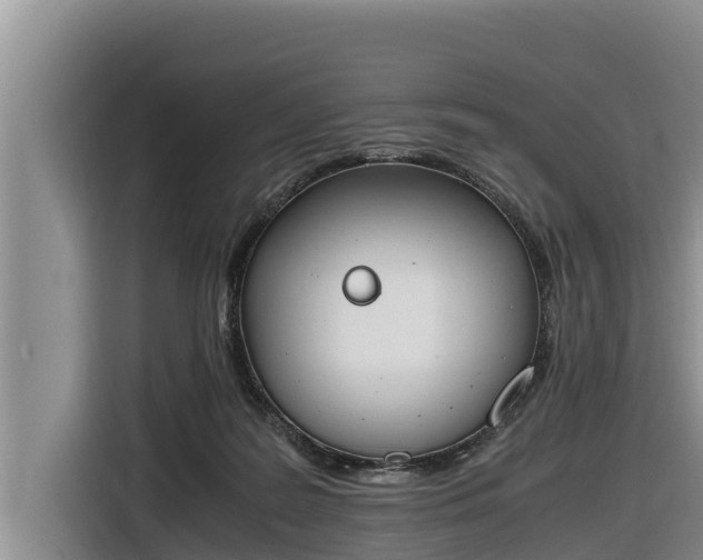 X0000116820219200912241247