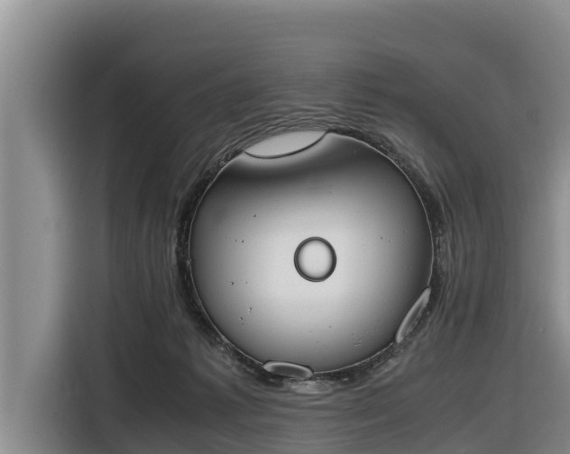 X0000116820221200912241247