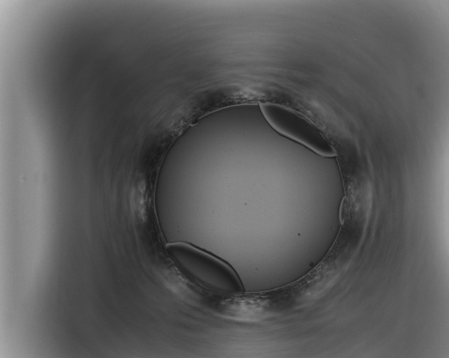 X0000116820223200912241247