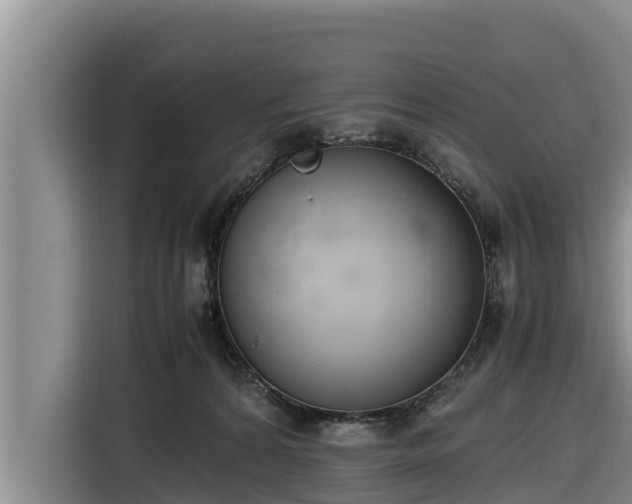 X0000116820224200912241247