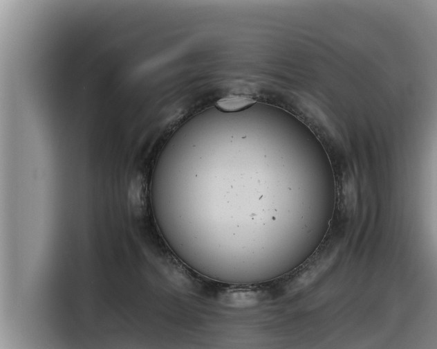 X0000116820228200912241247