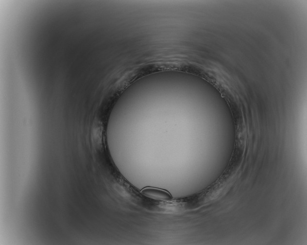 X0000116820231200912241247