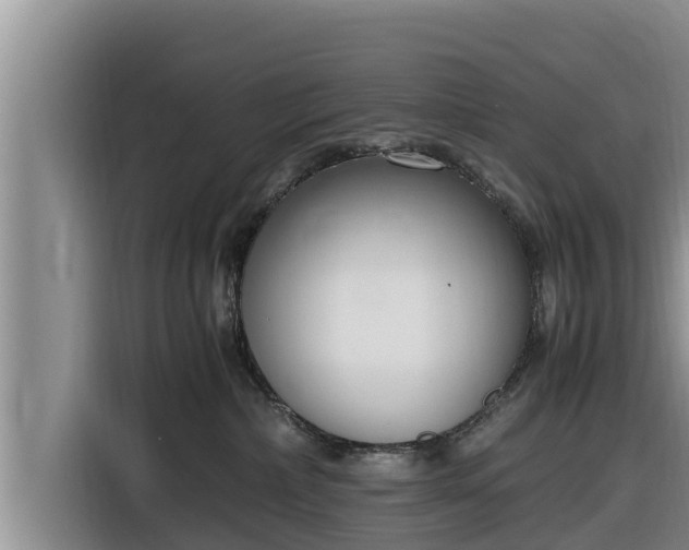 X0000116820236200912241247