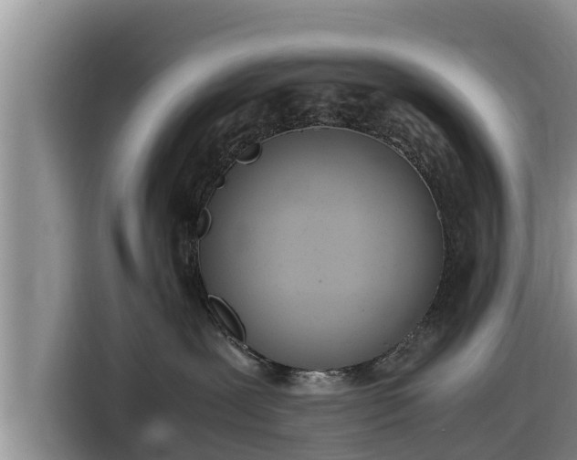 X0000116820239200912241247