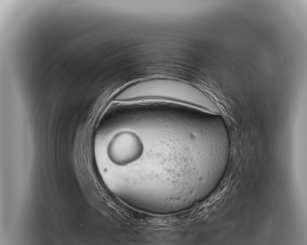 X0000116820241200912241246