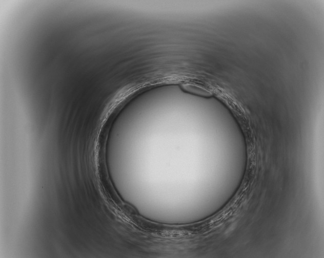 X0000116820242200912241246