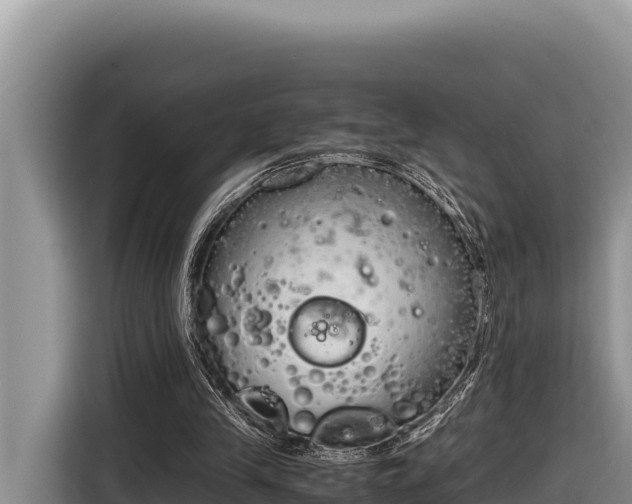 X0000116820245200912241246