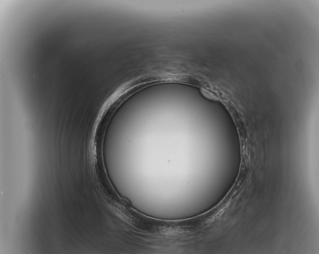 X0000116820246200912241246