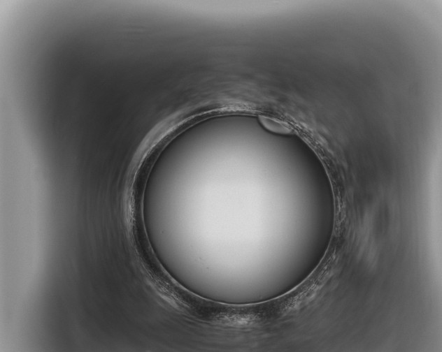 X0000116820247200912241246