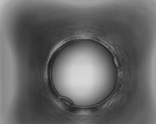 X0000116820248200912241246