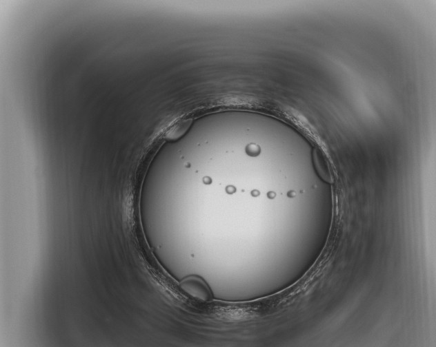 X0000116820249200912241246