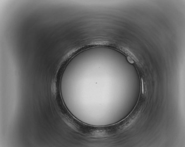 X0000116820252200912241246