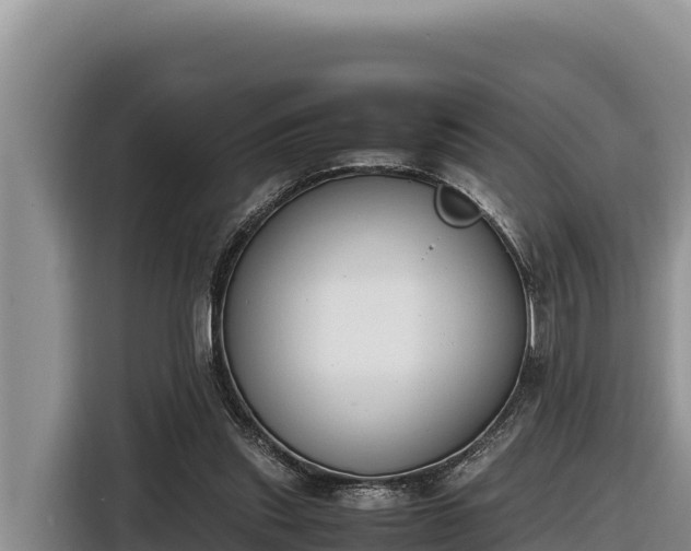 X0000116820253200912241246