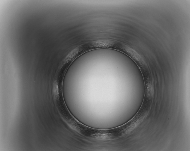 X0000116820254200912241246