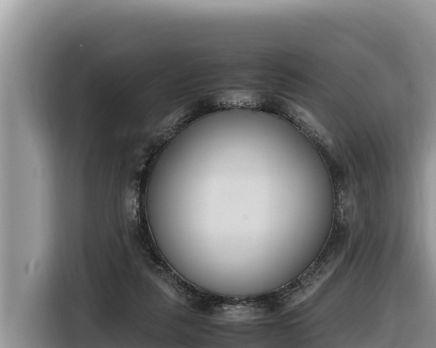 X0000116820259200912241246