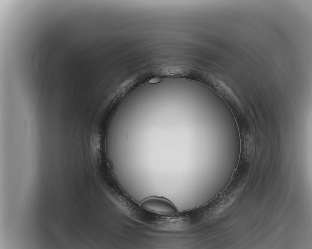 X0000116820260200912241246