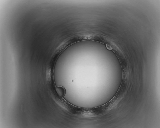 X0000116820262200912241246