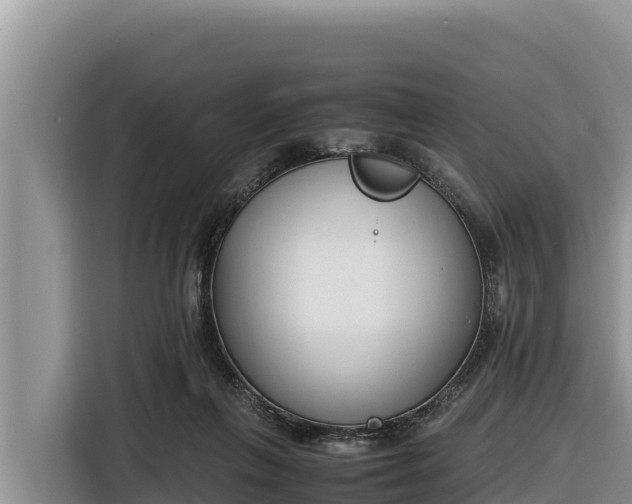 X0000116820263200912241246