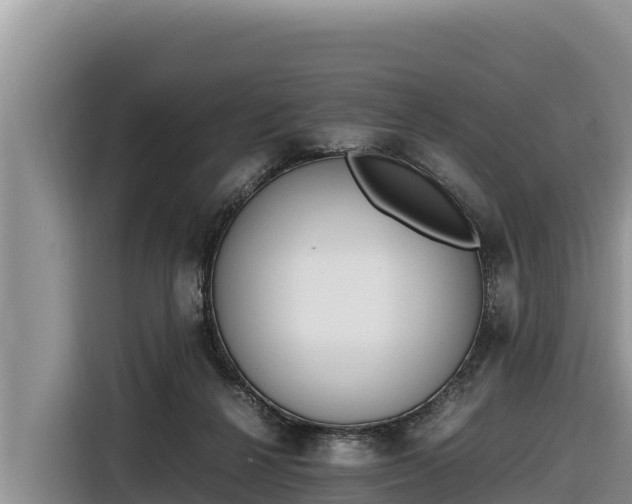 X0000116820264200912241246