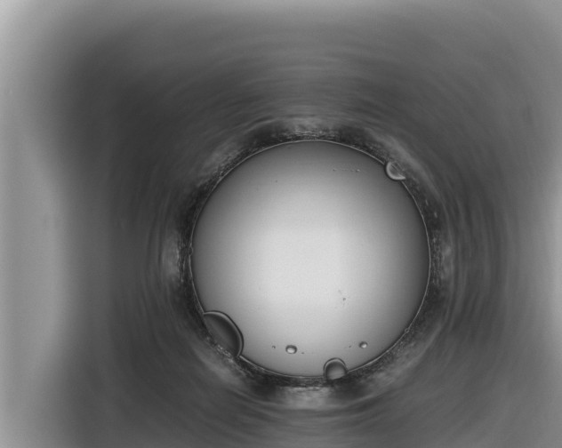 X0000116820266200912241246