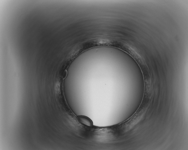 X0000116820269200912241246