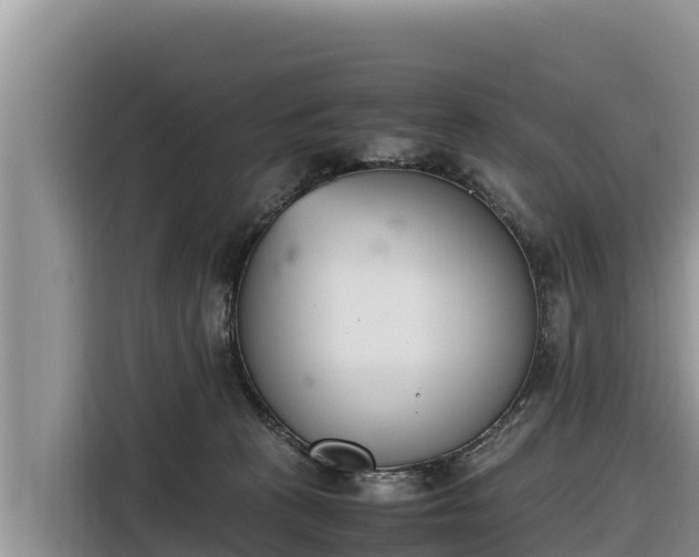 X0000116820273200912241247