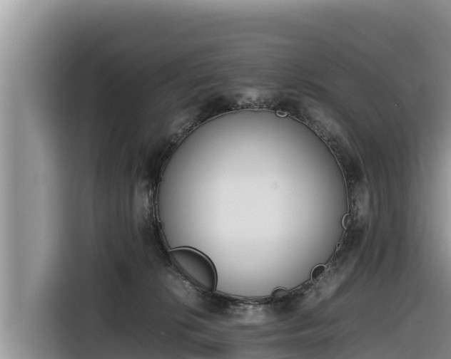 X0000116820276200912241247