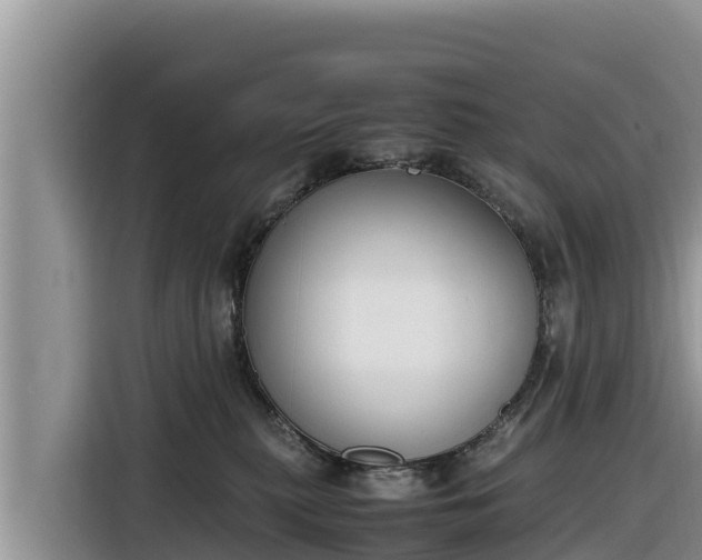 X0000116820279200912241247