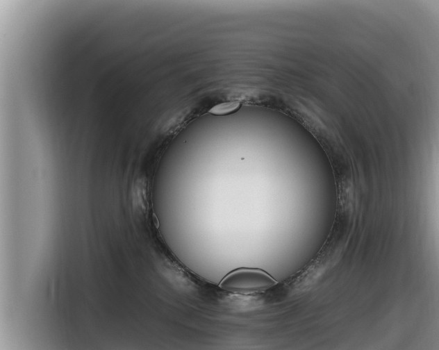 X0000116820280200912241247