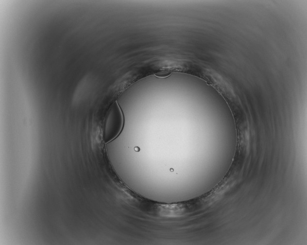 X0000116820281200912241247