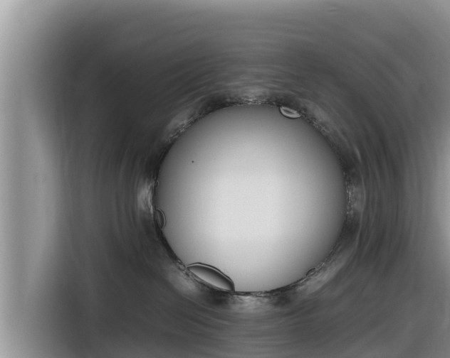 X0000116820286200912241247