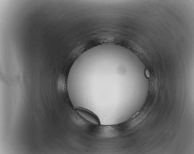 X0000116820287200912241247